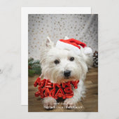 かわいい犬の子犬メリークリスマスカード シーズンカード (正面/裏面)