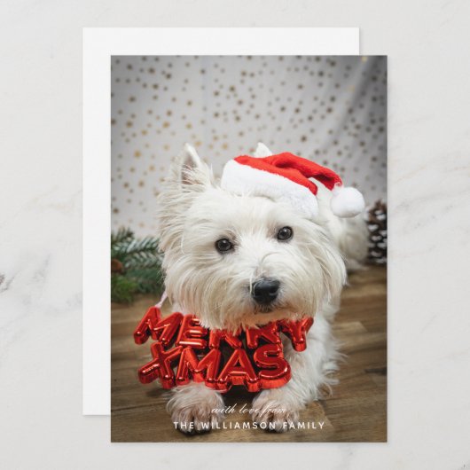 かわいい犬の子犬メリークリスマスカード シーズンカード (正面/裏面)