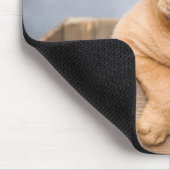 かわいい犬の愛の写真 マウスパッド (コーナー)