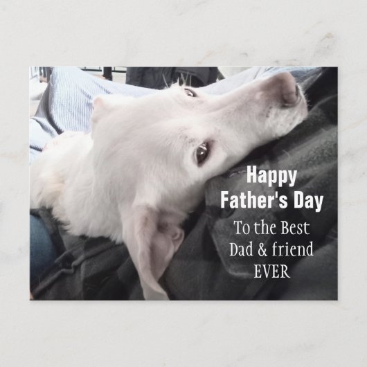 かわいい犬の最高のパパと友の写真 ポストカード (正面)