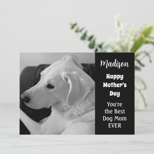 かわいい犬の母の日の黒と白の写真 シーズンカード (スタンド正面)