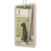 かわいい犬の測量裏庭とクリーク カーエアーフレッシュナー (左)