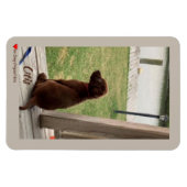 かわいい犬の測量裏庭とクリーク マグネット (横)