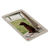 かわいい犬の測量裏庭とクリーク マグネット (右側)