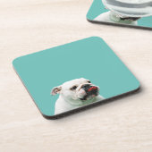 かわいい犬の白いブルドッグ コースター (左側)