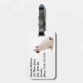 かわいい犬の白いブルドッグ ラゲッジタグ (裏面縦)