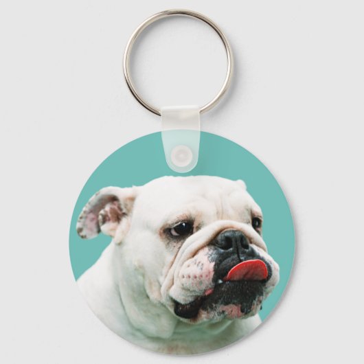 かわいい犬の白ブルドッグ キーホルダー (正面)