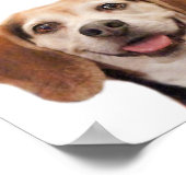 かわいい犬の笑顔の写真スマイル引用文ビーグル ポスター (角)