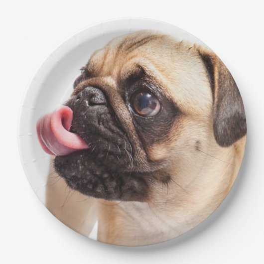 かわいい犬の紙プレート4 ペーパープレート (正面)