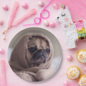 かわいい犬の紙プレート8 ペーパープレート (パーティー)