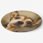 かわいい犬の紙皿10 ペーパープレート (アングル)