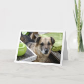 かわいい犬の肖像画 カード (正面)