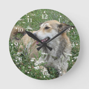 かわいい犬の芝生Clockface 1 ラウンド壁時計