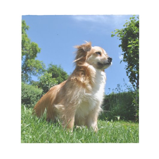 かわいい犬の草 ノートパッド (正面)