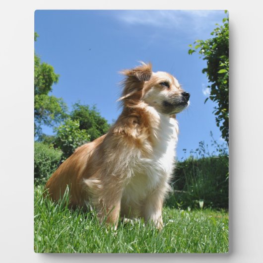 かわいい犬の草 フォトプラーク (正面)