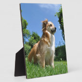 かわいい犬の草 フォトプラーク (側面)