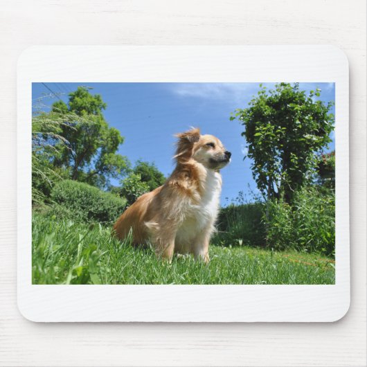 かわいい犬の草 マウスパッド (正面)
