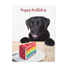 かわいい犬の誕生日おめでとう - ブラックラブラドールレトリバー