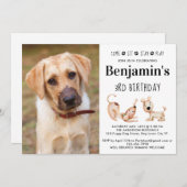 かわいい犬の誕生日パーティパピーカスタムペット写真 招待状 (正面/裏面)