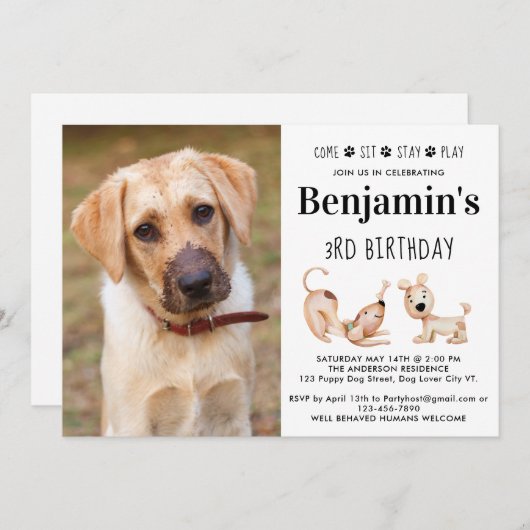 かわいい犬の誕生日パーティパピーカスタムペット写真 招待状 (正面/裏面)