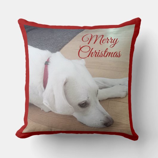 かわいい犬の赤い首輪のクリスマス クッション (正面)