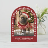 かわいい犬の面白いペットの写真 クリスマス (スタンド正面)