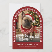 かわいい犬の面白いペットの写真 クリスマス (正面)