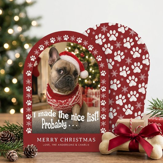 かわいい犬の面白いペットの写真 クリスマス