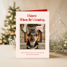 かわいい犬の面白いペット家族写真クリスマス折りたたみカード