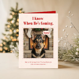 かわいい犬の面白いペット家族写真クリスマス折りたたみカード シーズンカード