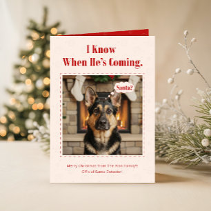 かわいい犬の面白いペット家族写真クリスマス折りたたみカード シーズンカード