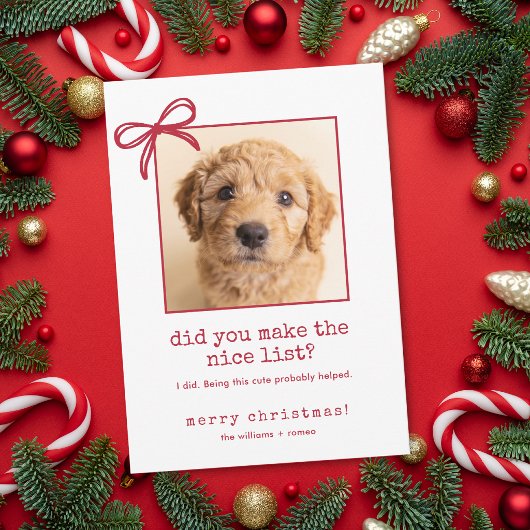 かわいい犬の面白い写真 クリスマス ホリデーカード