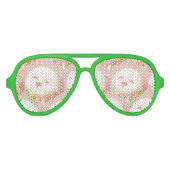 かわいい犬の顔ドーナツ アビエーターサングラス (正面)