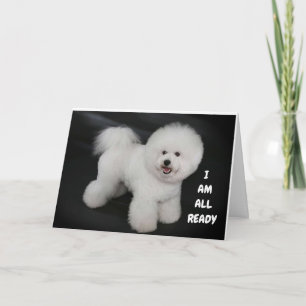**かわいい犬の願い**ハッピーエンド*40**誕生日 カード
