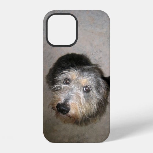 かわいい犬のCase-Mate iPhoneケース iPhone 12ケース (裏面)