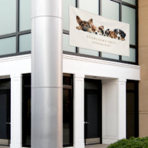 かわいい犬グルーミングサービス名刺