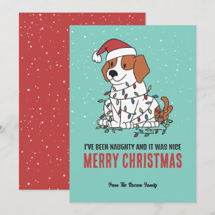 かわいい犬サンタいけなと素敵なメリークリスマス シーズンカード