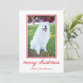 かわいい犬シンプルの写真クリスマス シーズンカード (スタンド正面)