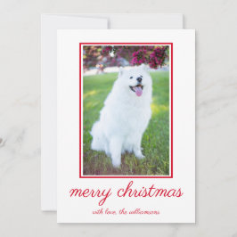 かわいい犬シンプルの写真クリスマス シーズンカード