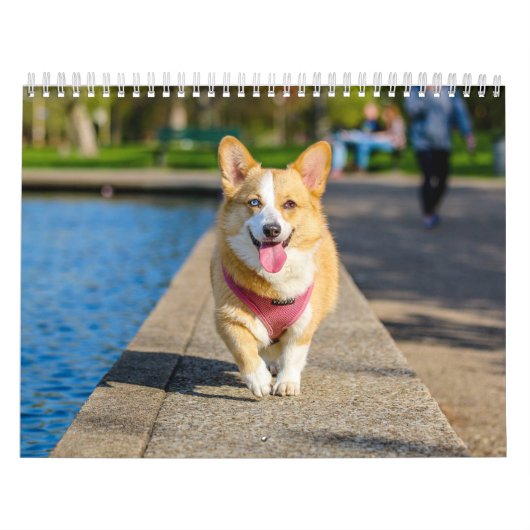 かわいい犬シンプルミニマル カレンダー (カバー)