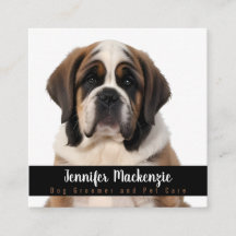 かわいい犬トリマーグルーミングサービスペットケア