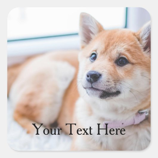 かわいい犬パーソナライズされたの写真と文字 スクエアシール (正面)