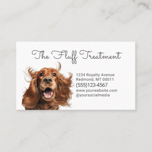 かわいい犬ペットグルーミングバスサービス 名刺 (正面)