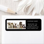 かわいい犬ペットシッター動物シッターのペットトリマー ラベル (インサイチュ)