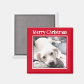 かわいい犬メリークリスマスレッドの写真 マグネット (正面/裏面)