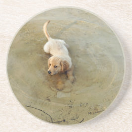 かわいい犬 コースター