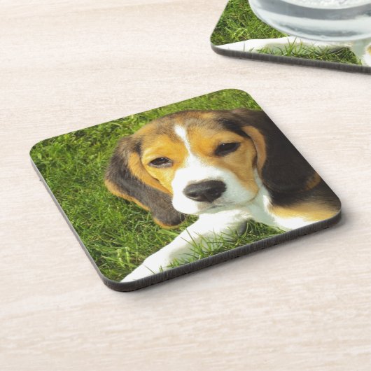 かわいい犬 コースター (左側)