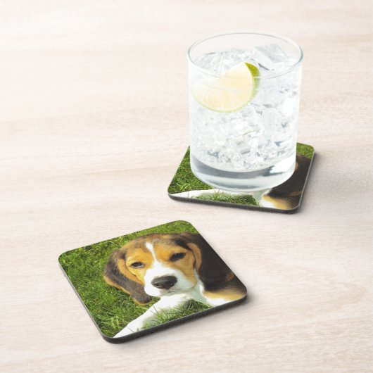 かわいい犬 コースター (右側)