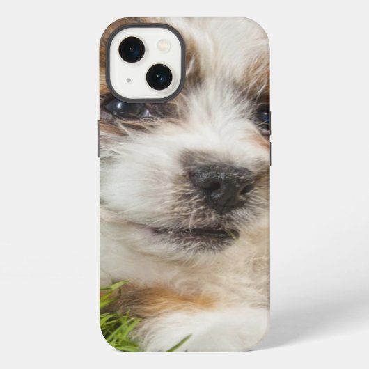 かわいい犬（シーズー） iPhoneケース (裏面)