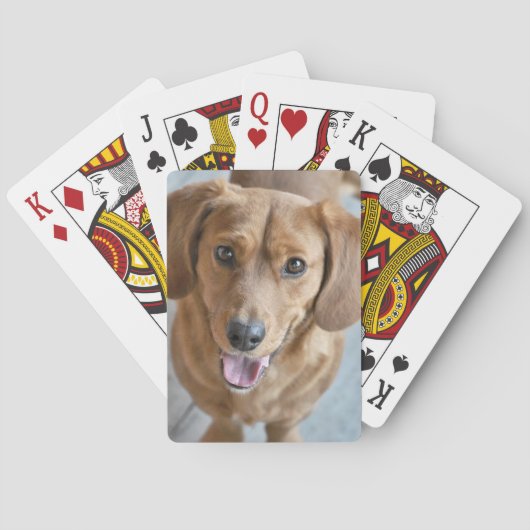 かわいい犬 トランプ (裏面)